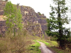 Supporting image for story: Seven wonders of Oswestry
