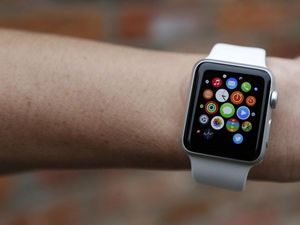 Supporting image for story