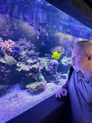 Luke at the aquarium