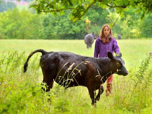 Supporting image for story: Amble followed by free cake and craft at Market Drayton farm