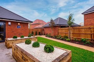 The garden of a Staffordshire David Wilson Homes show home