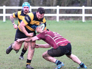 Supporting image for story: Telford Hornets end season on a high at home