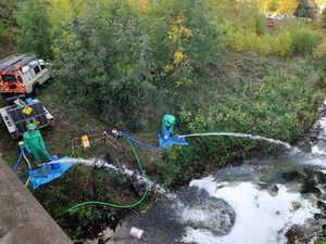 Supporting image for story: Blaze leaves thousands of fish dead