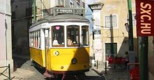 Supporting image for story: Plea for trams, not a new road