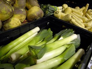 Supporting image for story: Farmers warn of shortage of British leeks ahead of St David’s Day