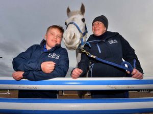 Supporting image for story: Glamping pods granted go-ahead