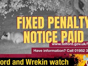 Supporting image for story: Dog owner slapped with fine after pet fouling in park caught on CCTV