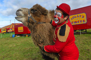 Supporting image for story: Circus hits back at criticism over use of animals in performances