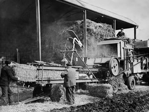 Supporting image for story: Pictures From The Past – January 18