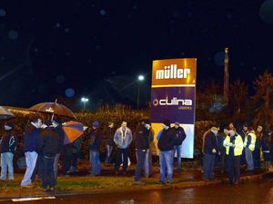 Supporting image for story: Shropshire dairy farmers dealt new blow as Muller cuts milk prices