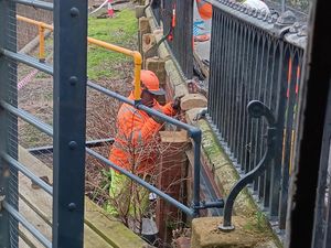 Supporting image for story: Bridgnorth Cliff Railway railings repaired six months after safety fears reported