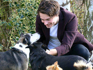 Supporting image for story: Beloved dog brings comfort to all