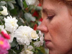 Supporting image for story: Fish, sulphur, and burnt toast among scents haunting long Covid patients