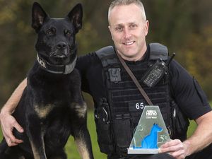Supporting image for story: Max the police dog given award for his rescue work