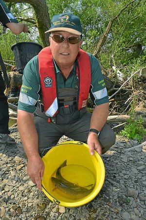 Pete Giles helps some of the fish