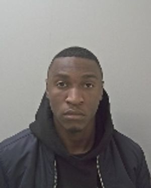 Supporting image for story