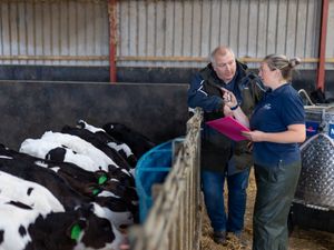 Supporting image for story: ForFarmers launch new Commercial Development Programme