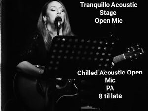 Supporting image for story: Tranquillo Acoustic Stage Open Mic at The Wheatsheaf