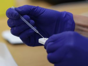 Supporting image for story: The efforts to develop a Covid-19 vaccine