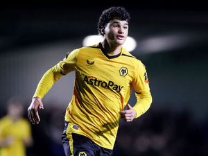 Supporting image for story: Wolves youngsters making a name for themselves in India