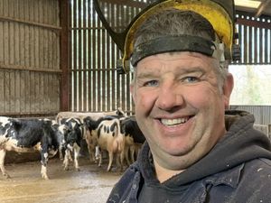 Supporting image for story: Shropshire Farming Talk: Preventing cattle lameness during winter housing

