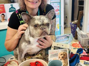 Supporting image for story: Shrewsbury charity dog show to set tails wagging: Find out how you and your pet can take part