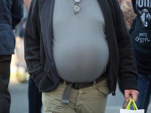 Supporting image for story: Bad fat can be transformed to combat obesity, scientists find