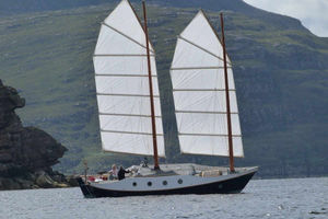The couple's boat was built by Mr Johnson