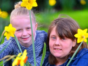Supporting image for story: Fair Queen and Princess chosen