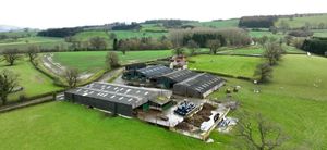 Picture: Morris Marshall & Poole - Newtown/Zoopla