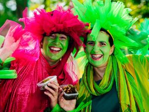 Supporting image for story: Merefest 2017 attracts thousands of visitors - with pictures and video