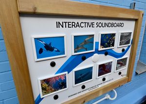 The opening of the new children's ward garden at New Cross Hospital, Wolverhampton.