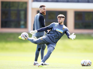 Supporting image for story: Matija Sarkic: Wolves must learn from mistakes 