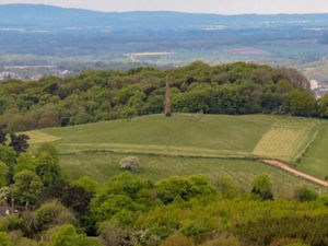 Supporting image for story: It's beginning to feel a lot more like spring