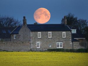 Supporting image for story: Final supermoon of 2020 set to grace skies over UK