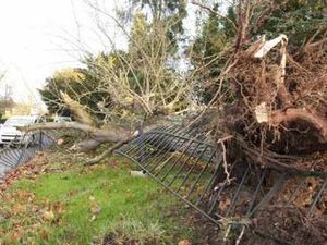 Supporting image for story: Fierce gales batter Shropshire