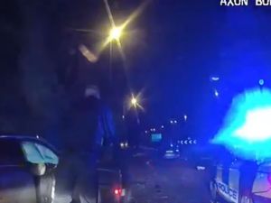Supporting image for story: Driver led police on high-speed chase through Staffordshire countryside and villages before crashing into tree