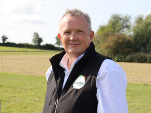 Supporting image for story: Scrupulous biosecurity a must in wake of new AI cases