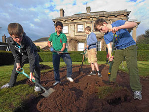 Supporting image for story: Newport pupils plant poppies to remember war