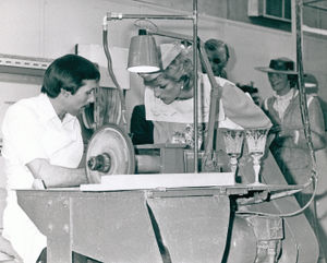 ... MNA. ES.. NOTE: No caption or date on pic, but other image appearing to be from same time period provides the date of 23rd May 1985 'Princess Diana visit to Royal Brierley Crystal Works'. Google suggest this is based in Brierley Hill, Dudley.. 33202227. Lady Di 5