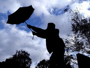 Supporting image for story: Shropshire and Mid Wales set for 50mph gusts as yellow warning for wind issued