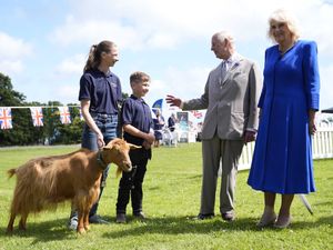 Supporting image for story: King and Queen grant goat rare royal title as they finish Channel Islands visit