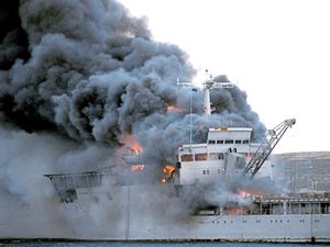 Supporting image for story: Talk and display on stamps of the Falkland Islands