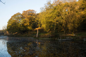 The Wild Boar in Windermere