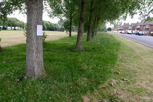 The green space at Lister Road