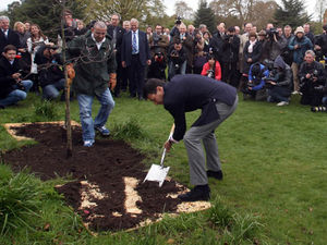 Supporting image for story: Olympic legacy to have Shropshire roots