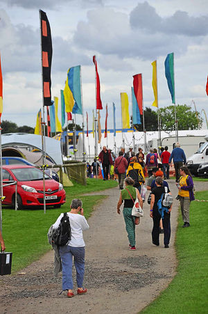Fans at the festival