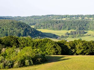 A view of hills with grassy fields and woodlands in the sunshine