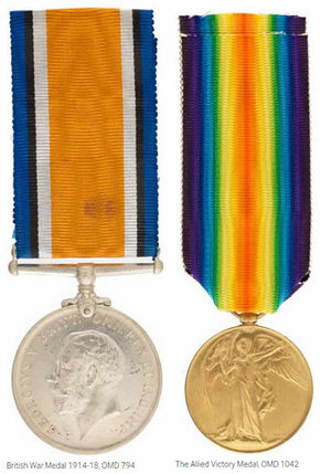 Medals similar to these were taken