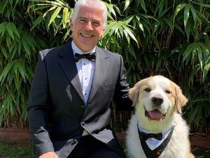 Supporting image for story: Boomer the university therapy dog dons tux to accept national award